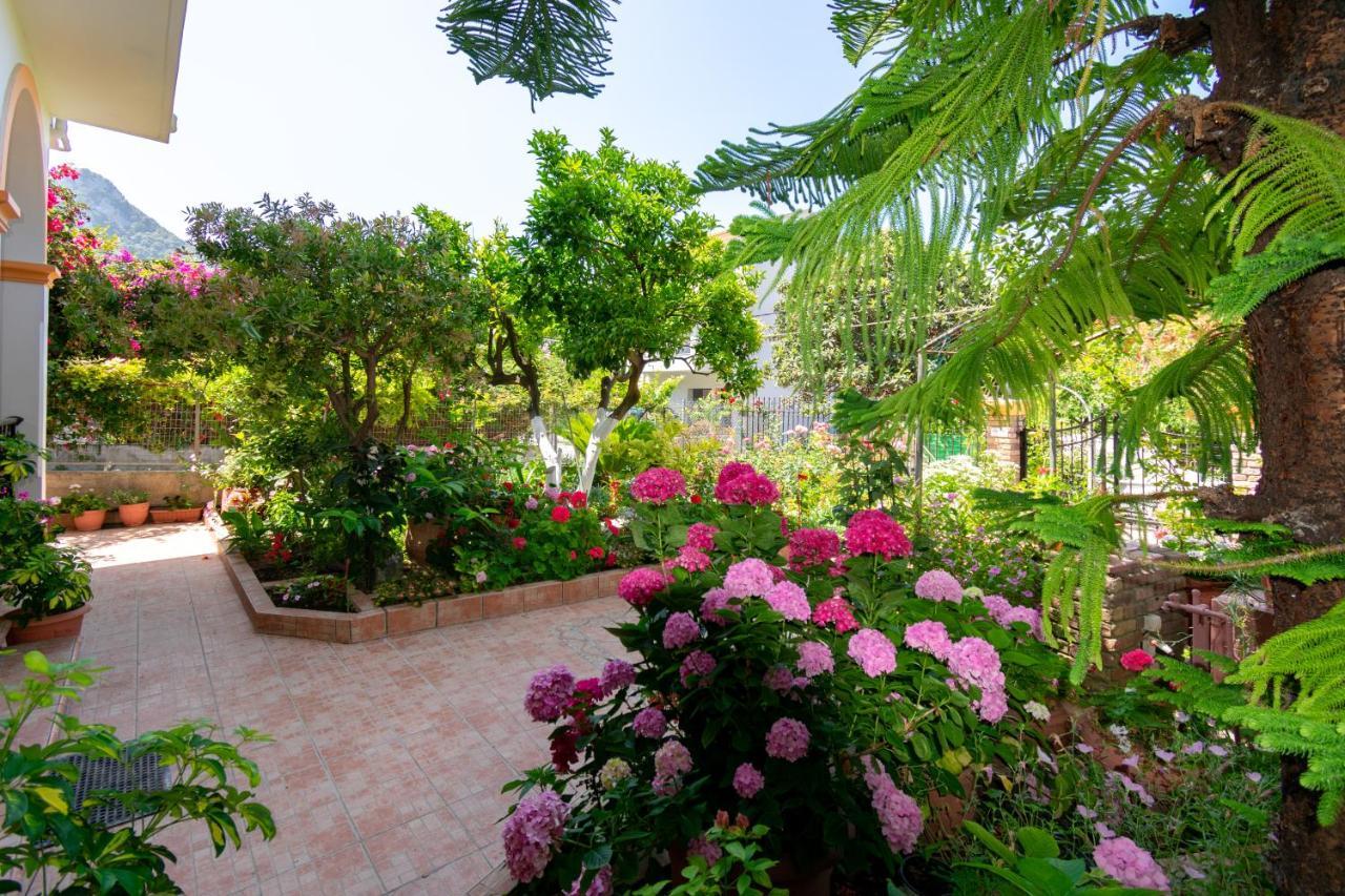 Villa Sophia Apartments By Corfuescapes Agios Gordios (Corfu) Exterior foto